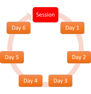 Weekly Assessment Cycle