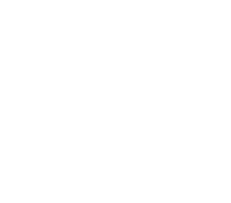 Google Plus icon